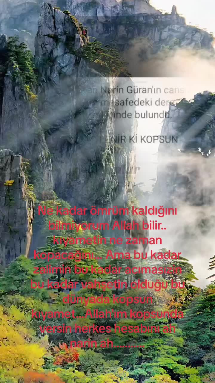 @BADILLI TIR DÜNYASI