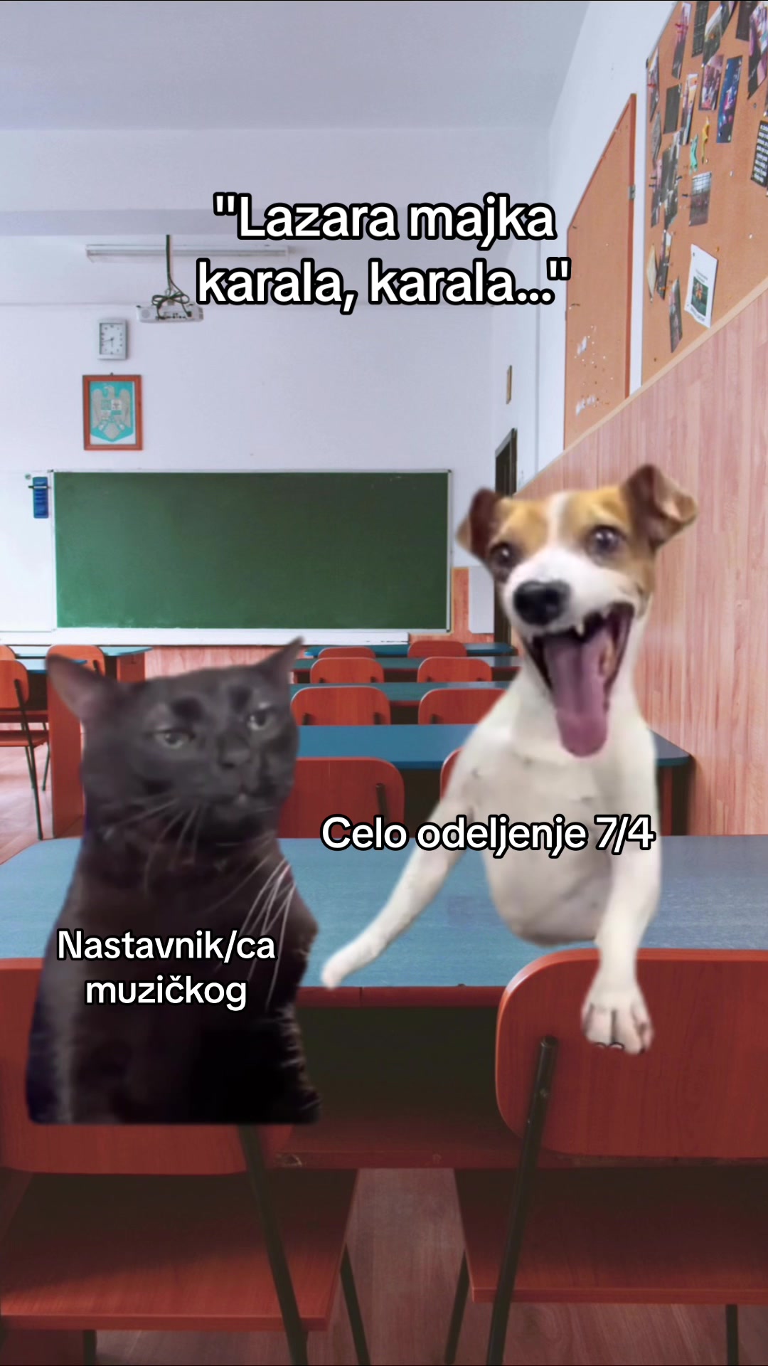 @Luka Trajković🔮