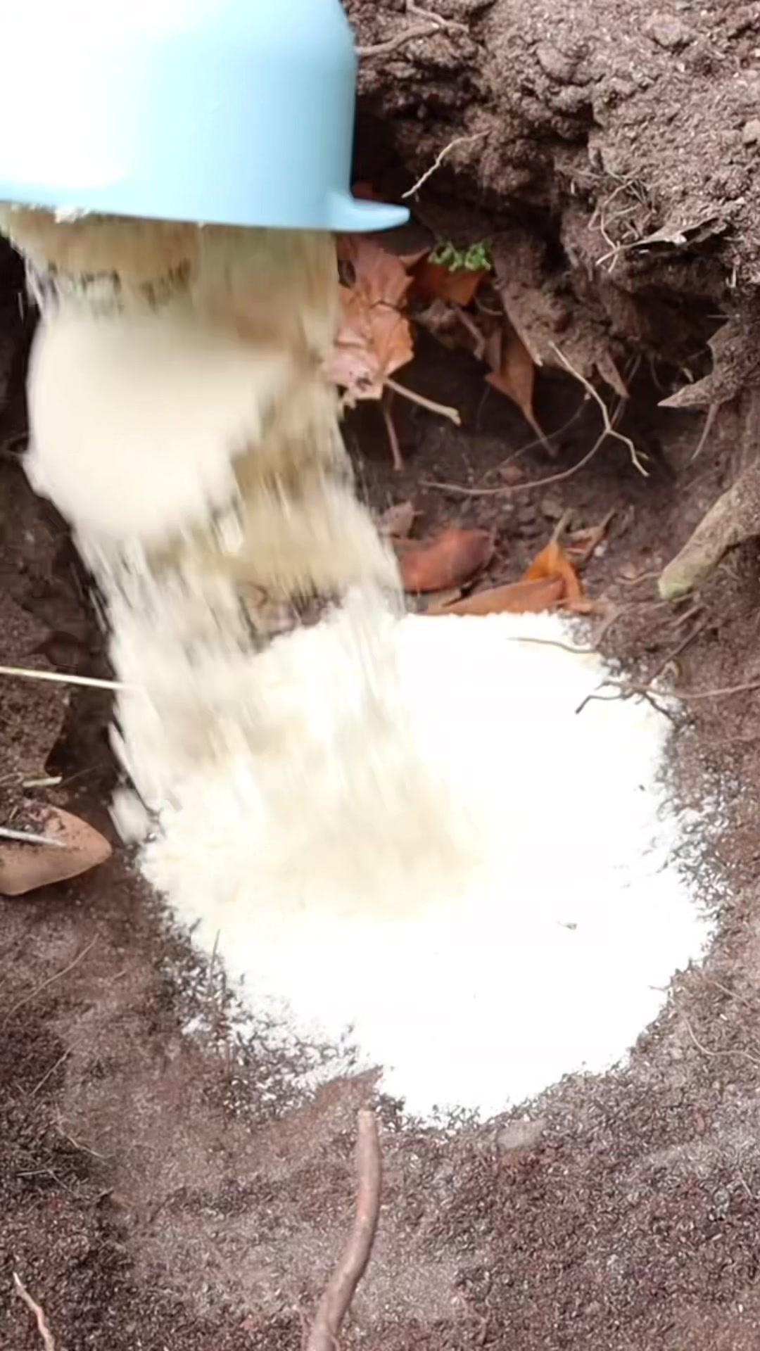 @HowToBasic