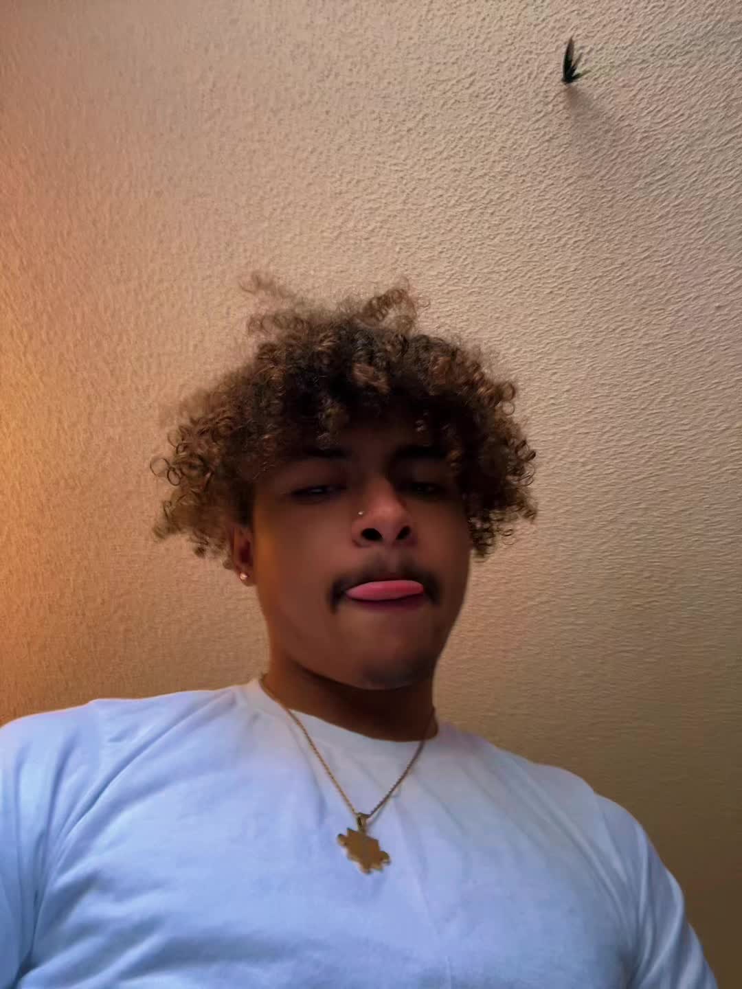@Tyren💰