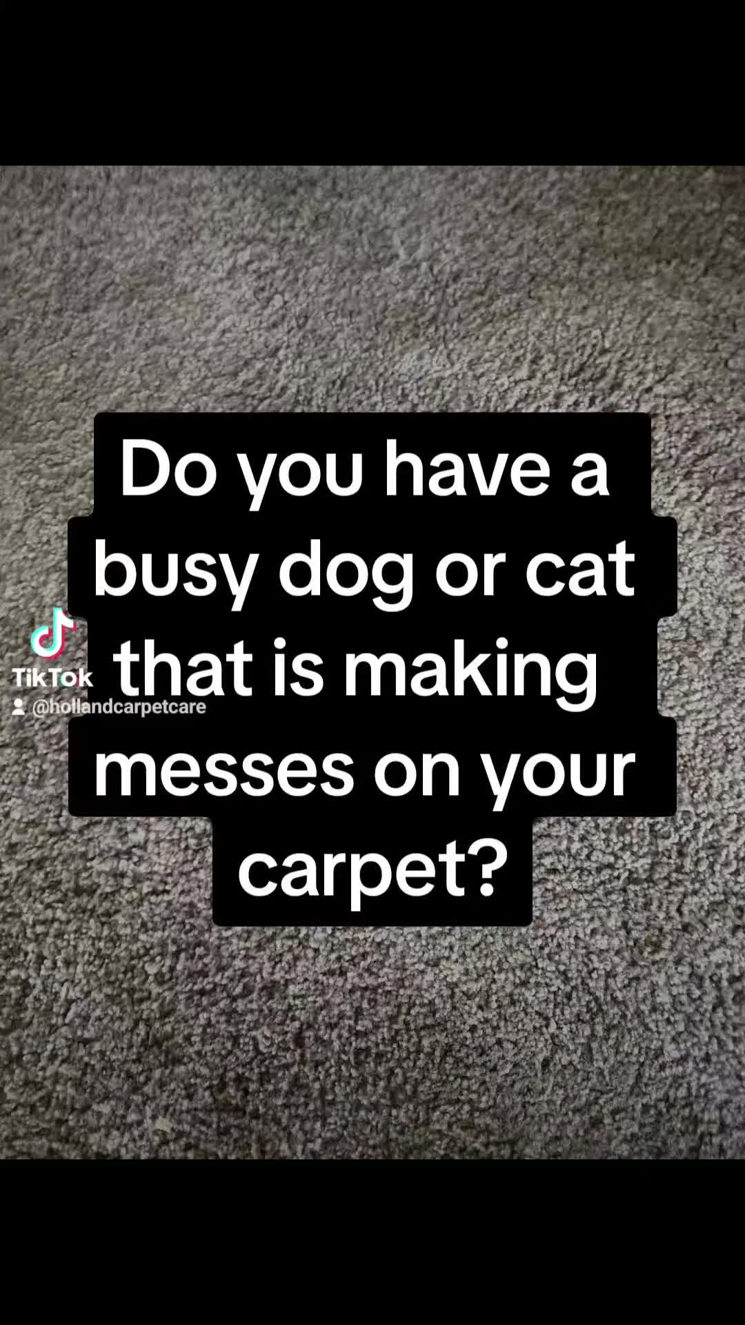 @Kitta Gene