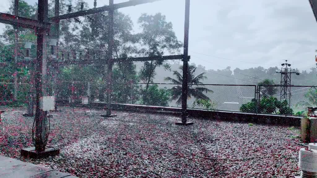 @Sujin Varkala