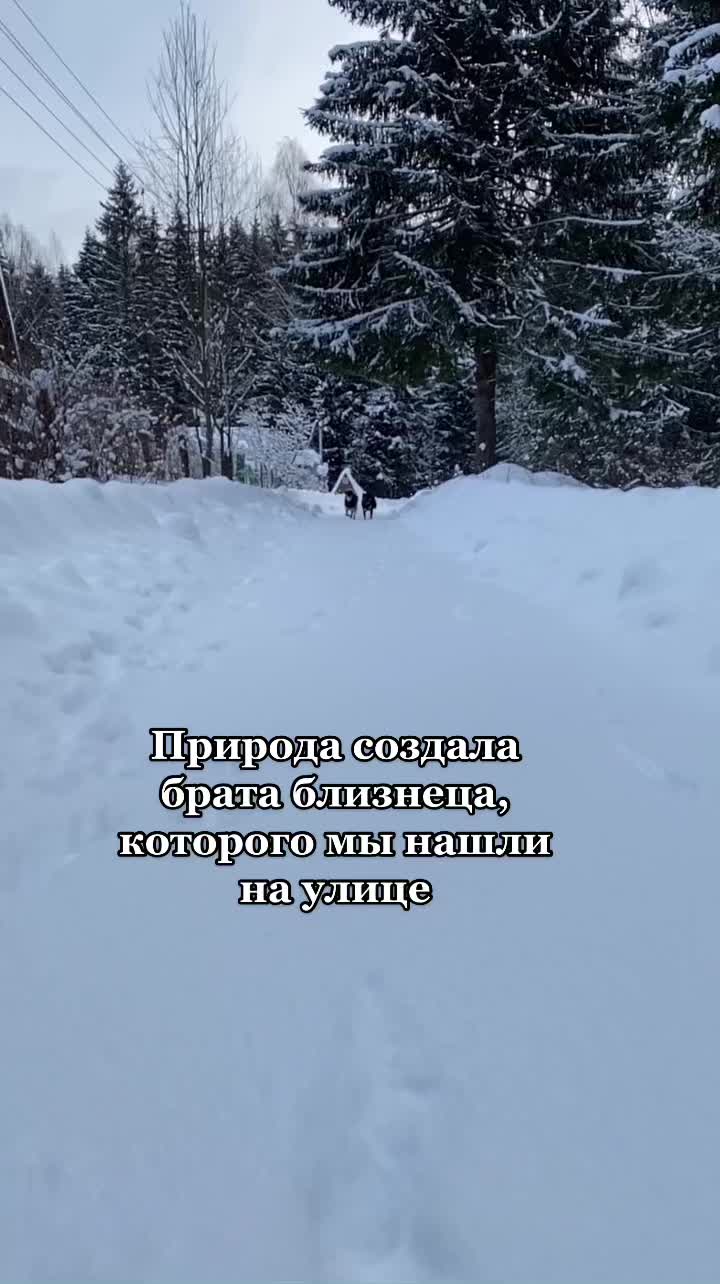@Mars_Yota