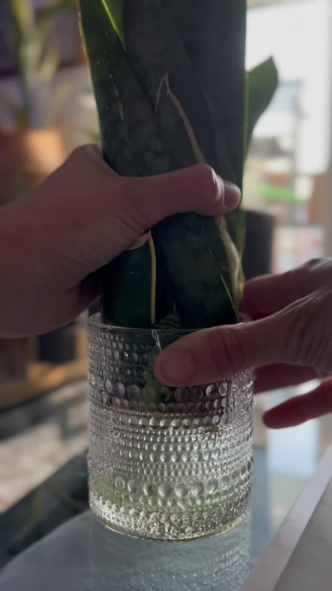@Tiny Plants