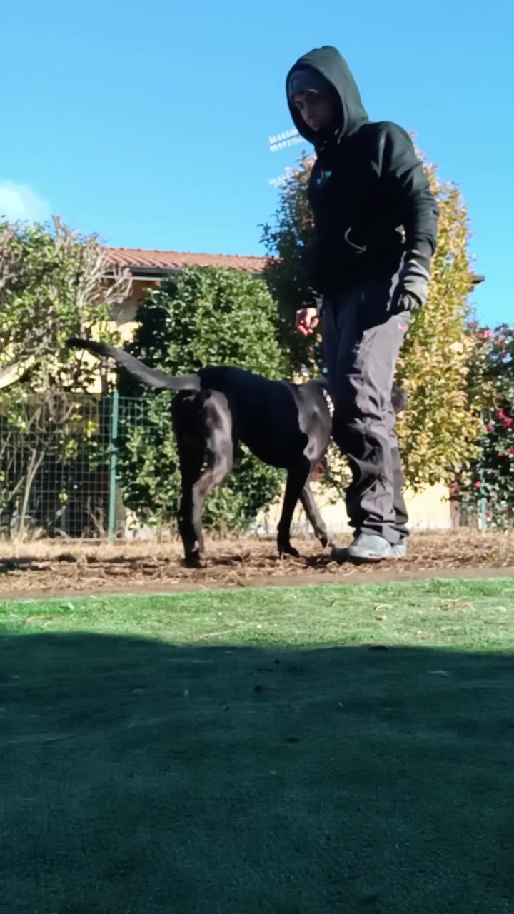 @Micol dogsitter varese