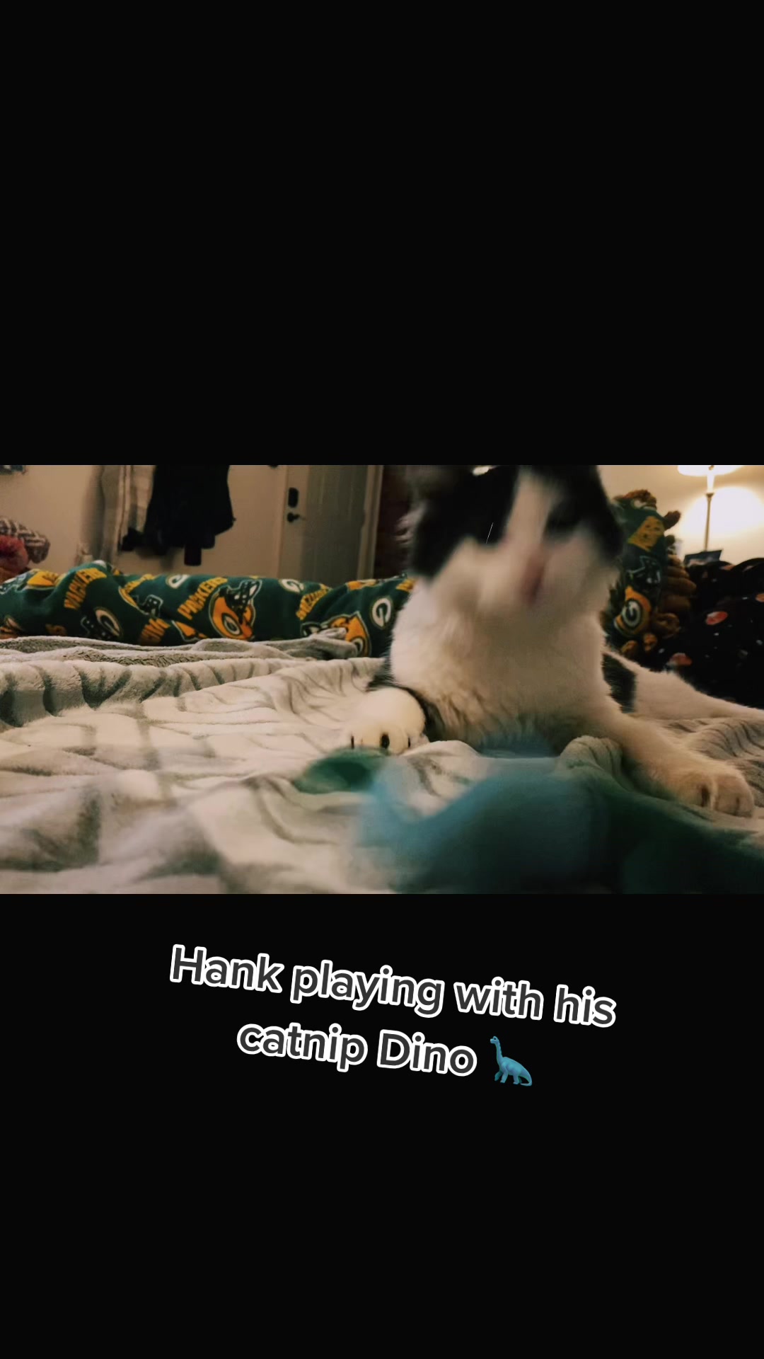 @Tilted_Hank