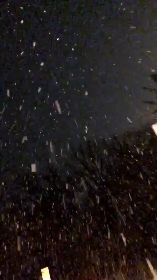 @Tr♥️uBleKaur🙃
