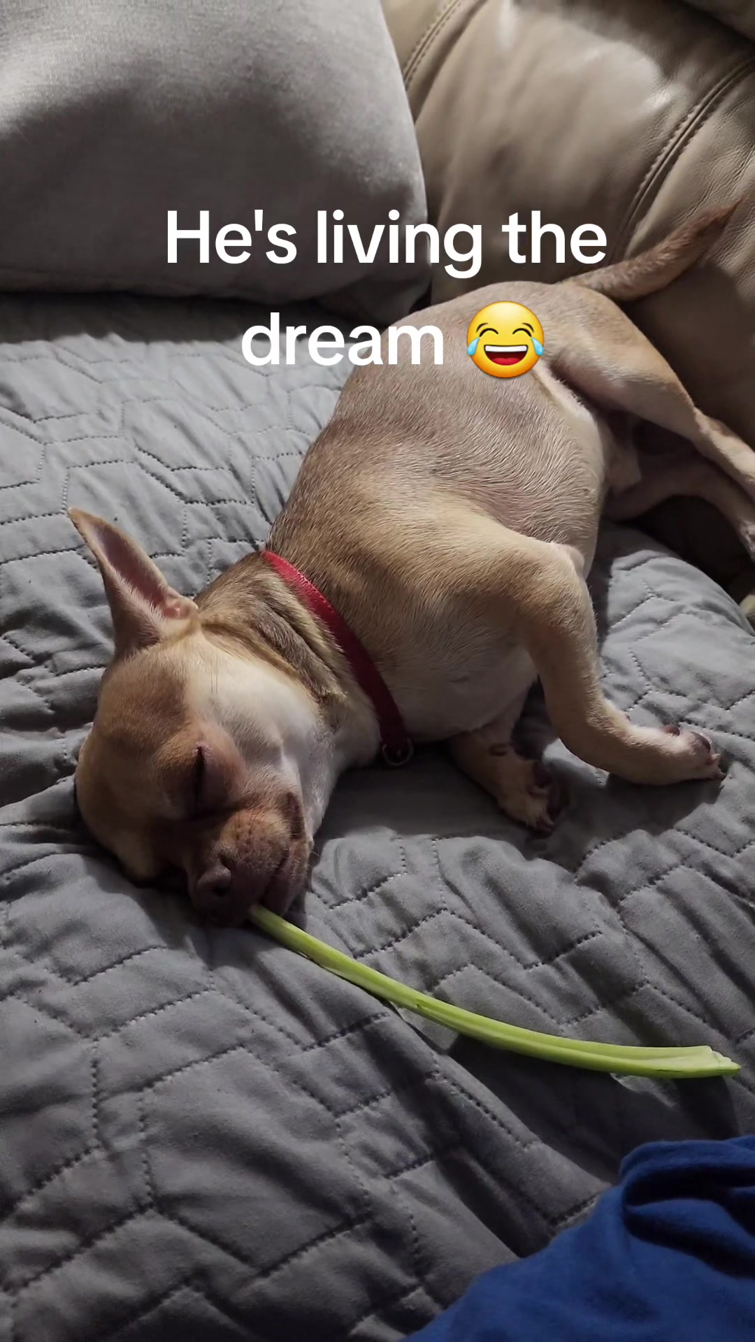 @Dré