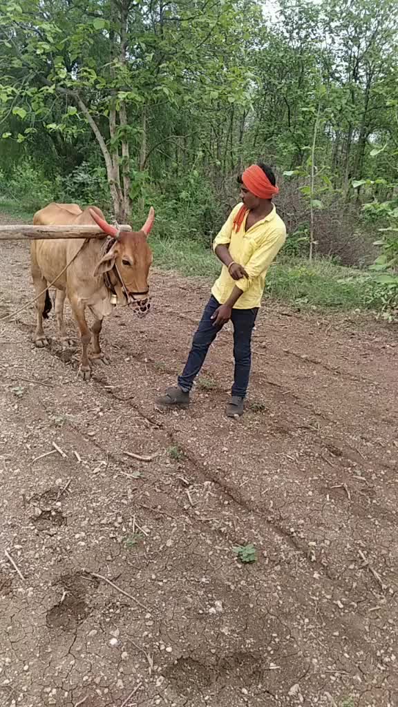 @Vaibhav Vhagade