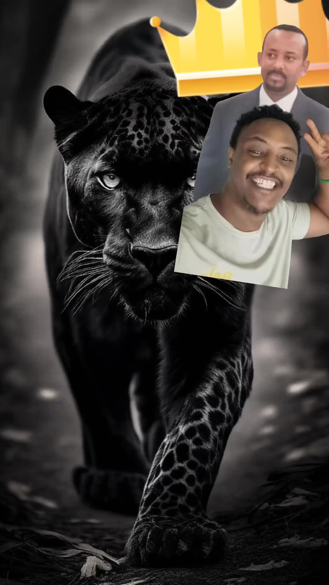 @Riyad_Kimo