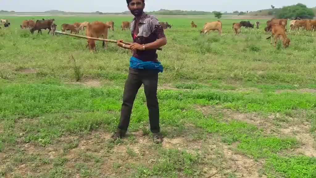 @💖 Prakash bharvad💖