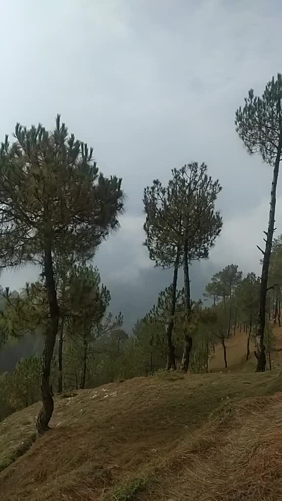 @oye pahadi🔥