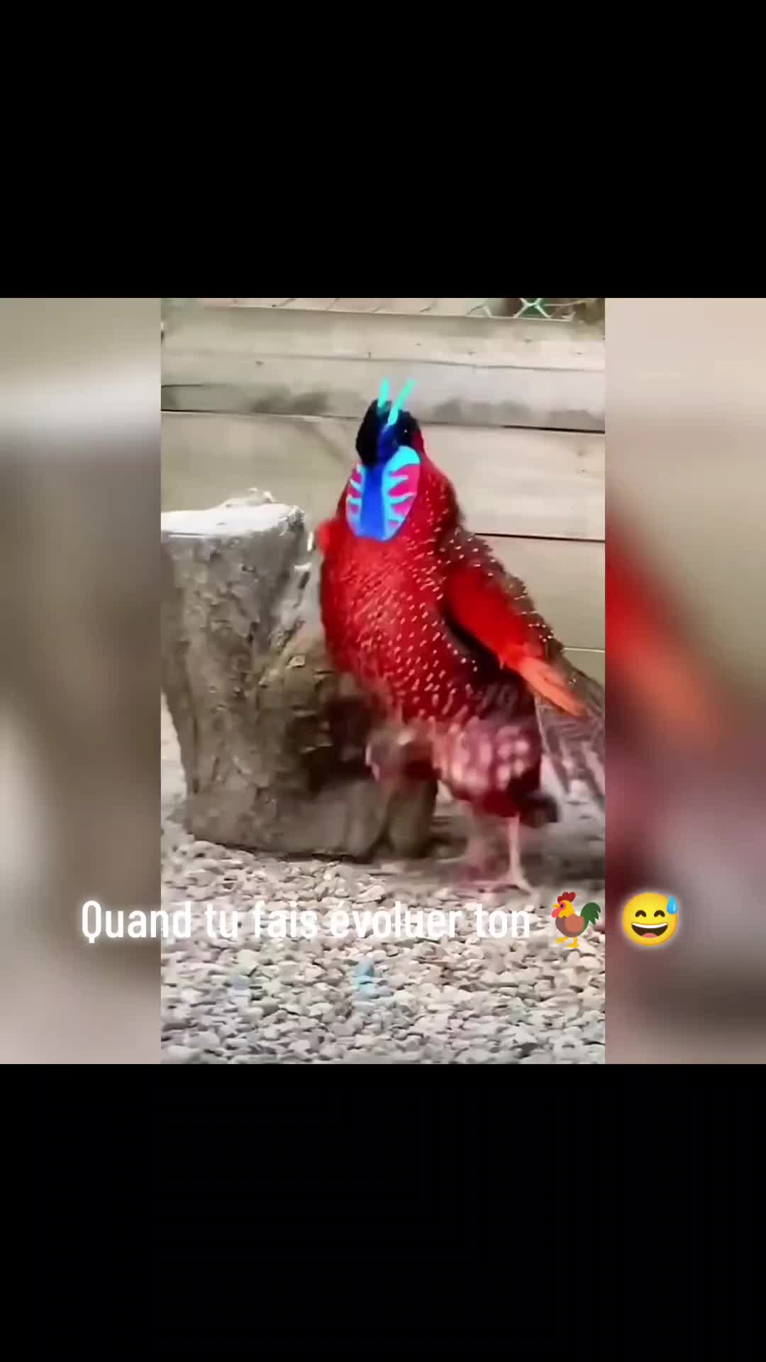 @LaDinguerie59✌️