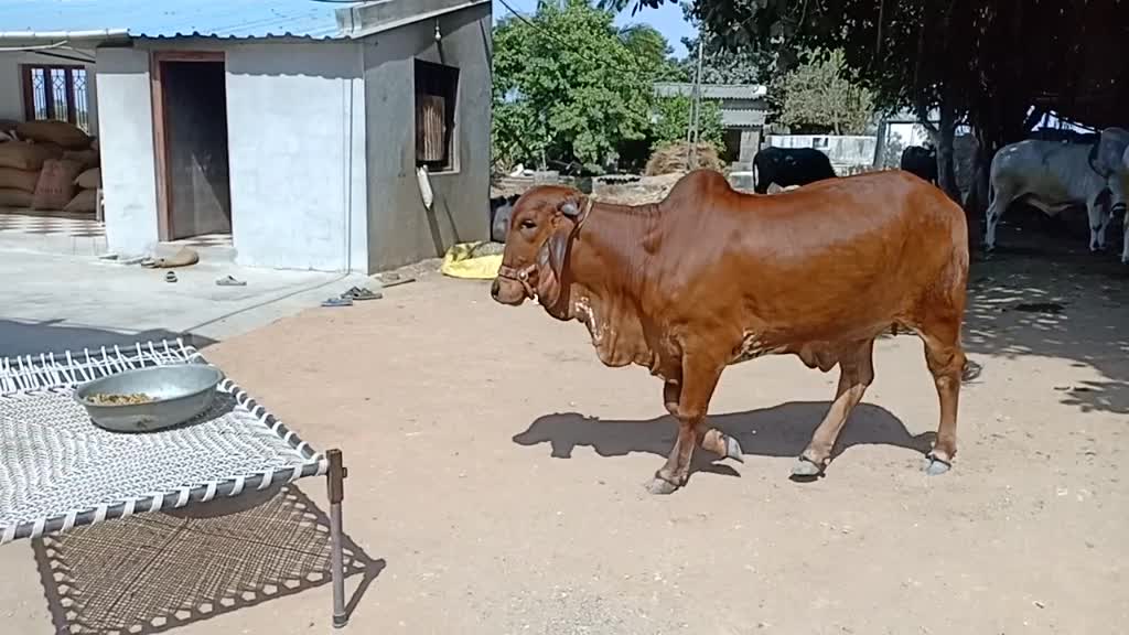 @Hardik8920
