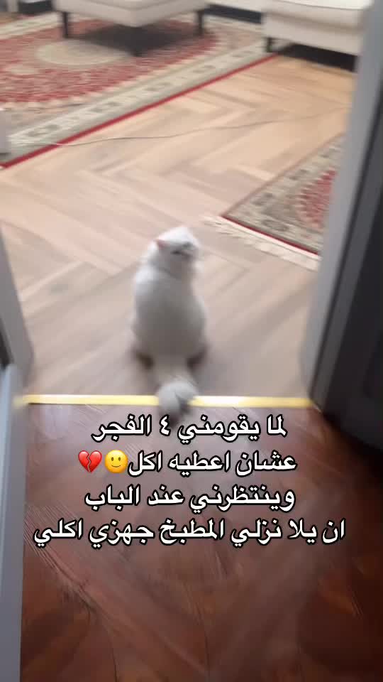@user39556571203