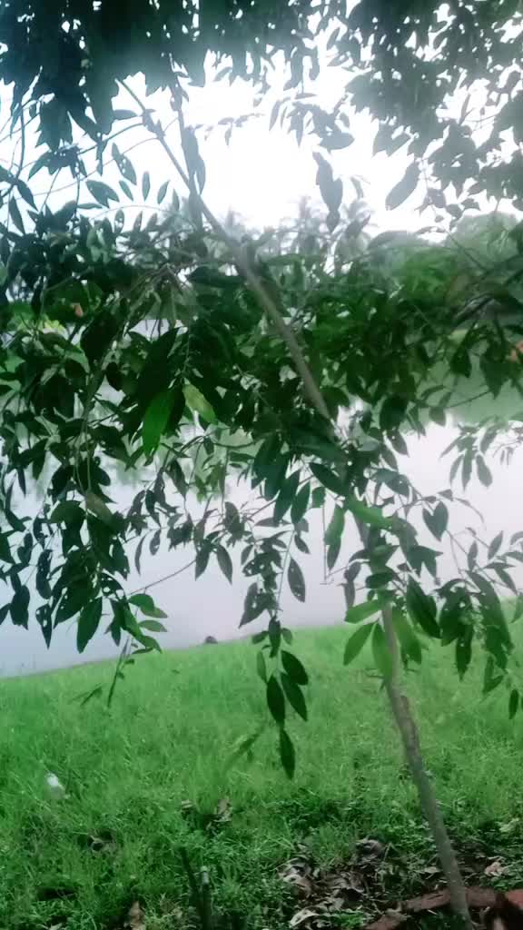 @jybuna