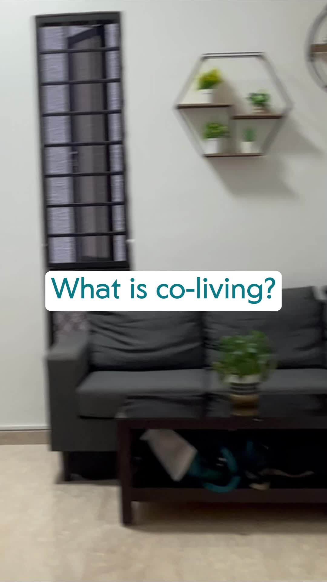 @coliveguru