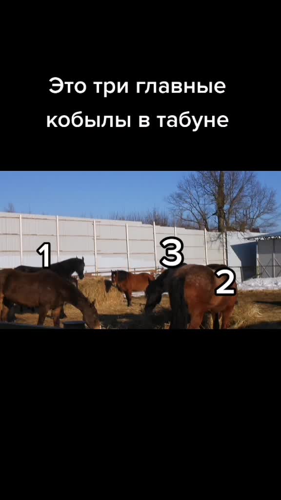 @Nastya Nochka