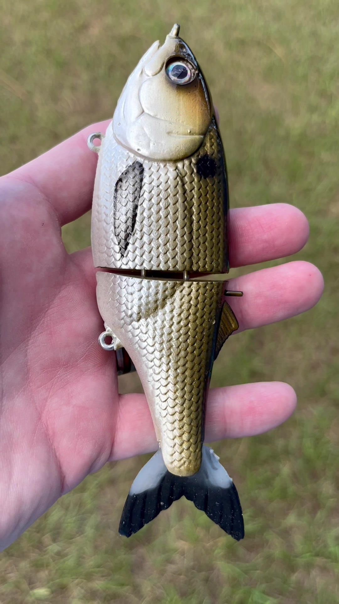 @grovesbaitco