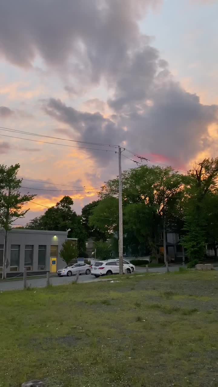 @HasanFzOfficial79