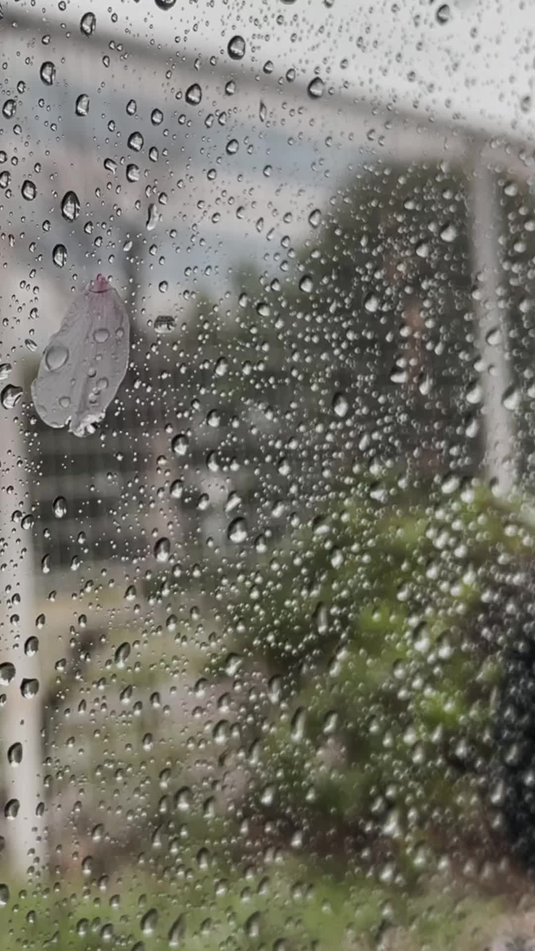 @jissy_