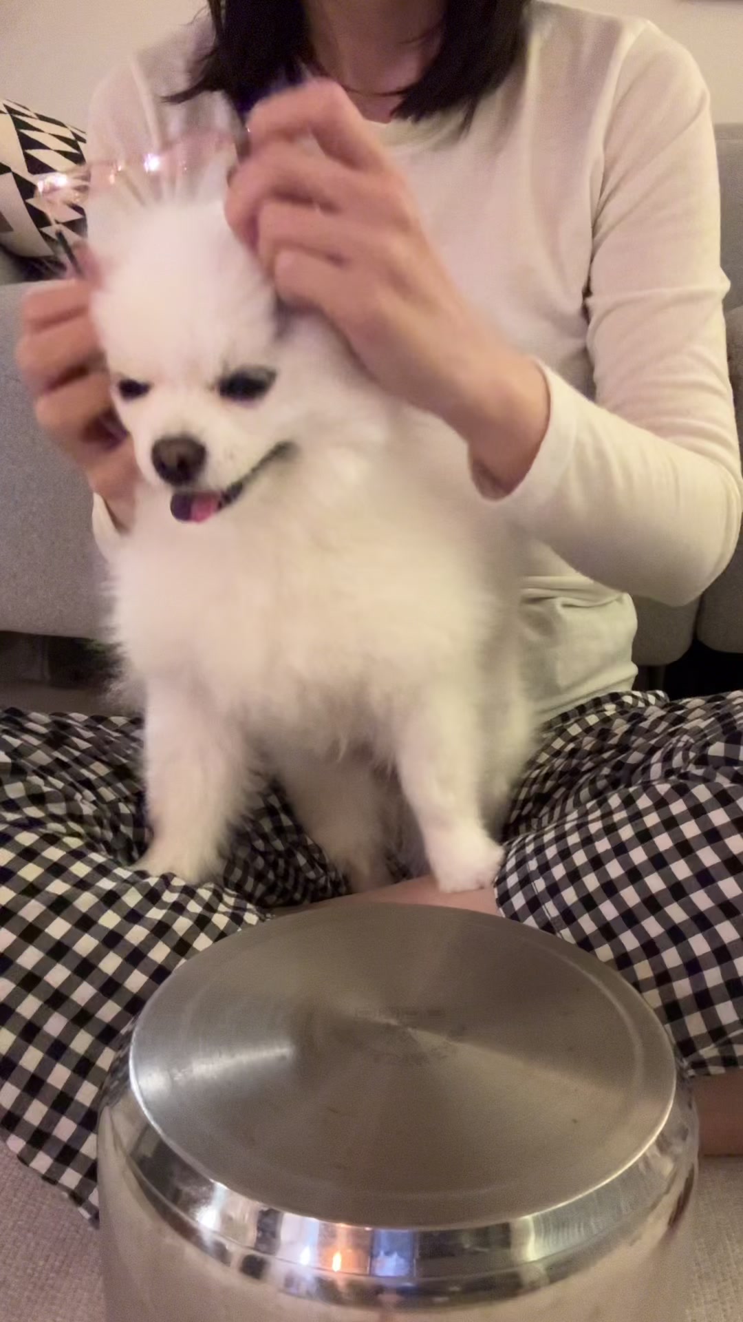@권하리