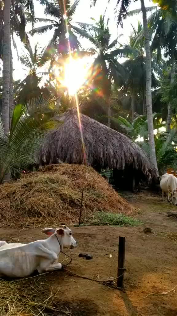 @BaaLu Reddy