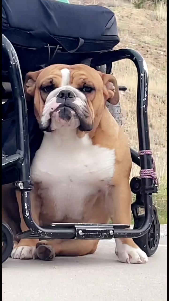 @Kelsey