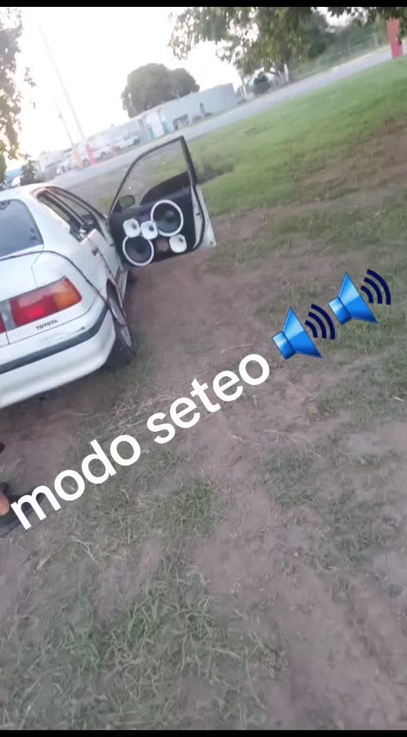 @leinel236