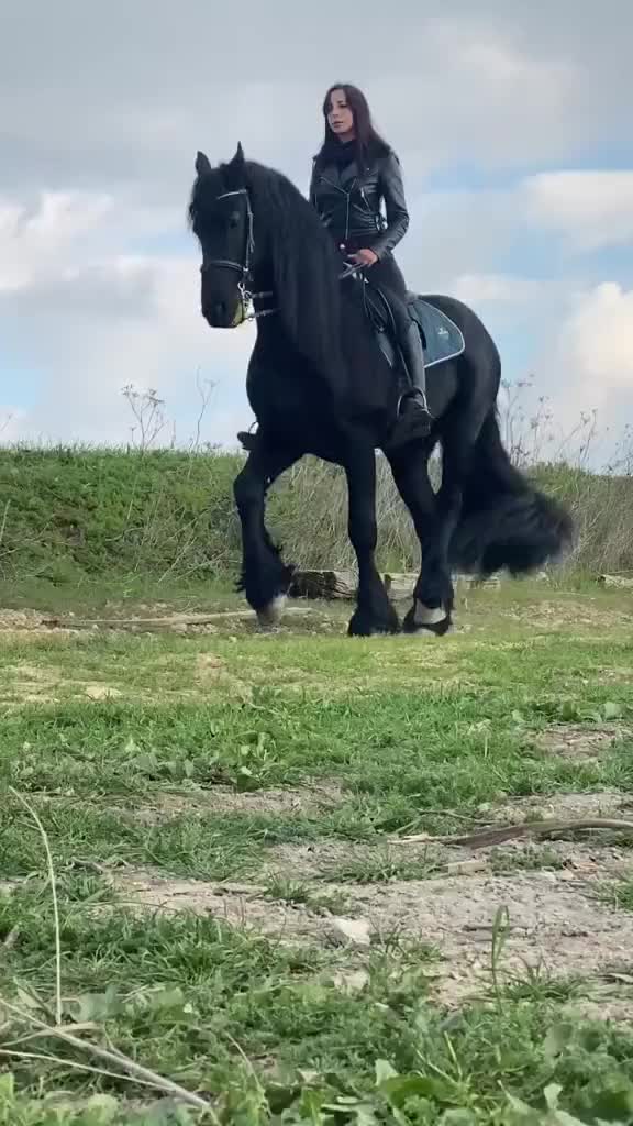 @Yusuf güler