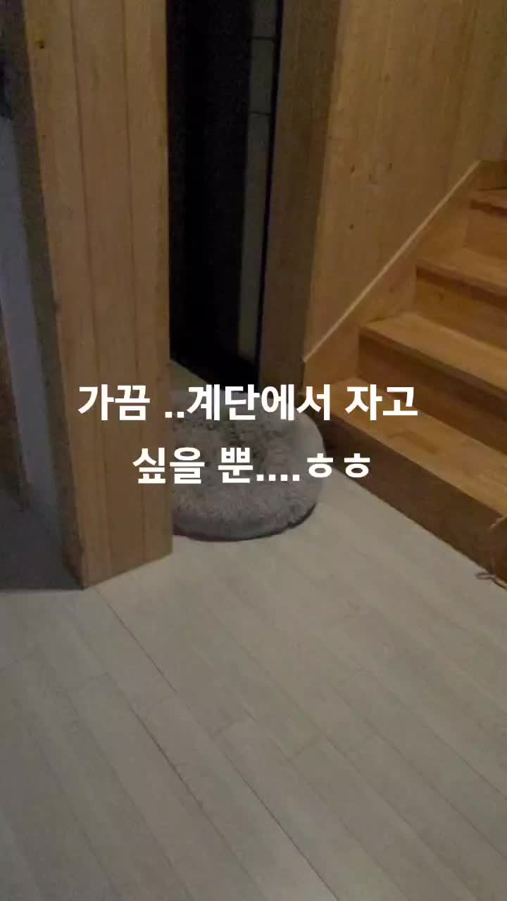 @연탄똘이