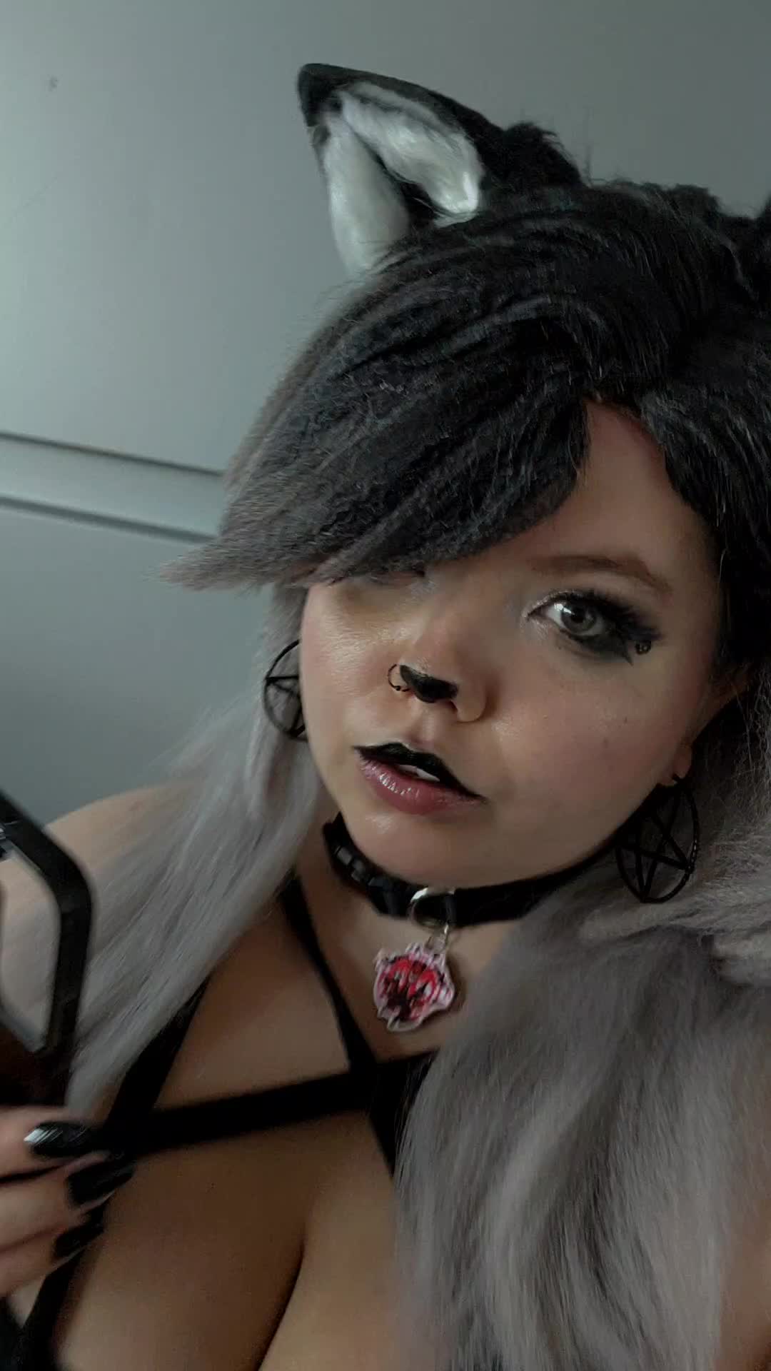 @Lil_Fox_Kit