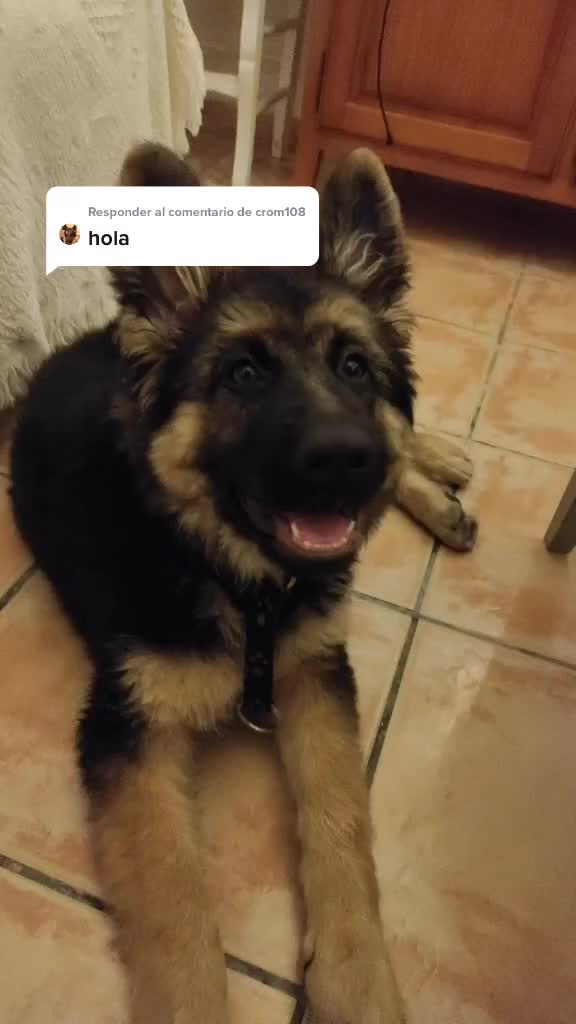 @Garc&iacute;a_94