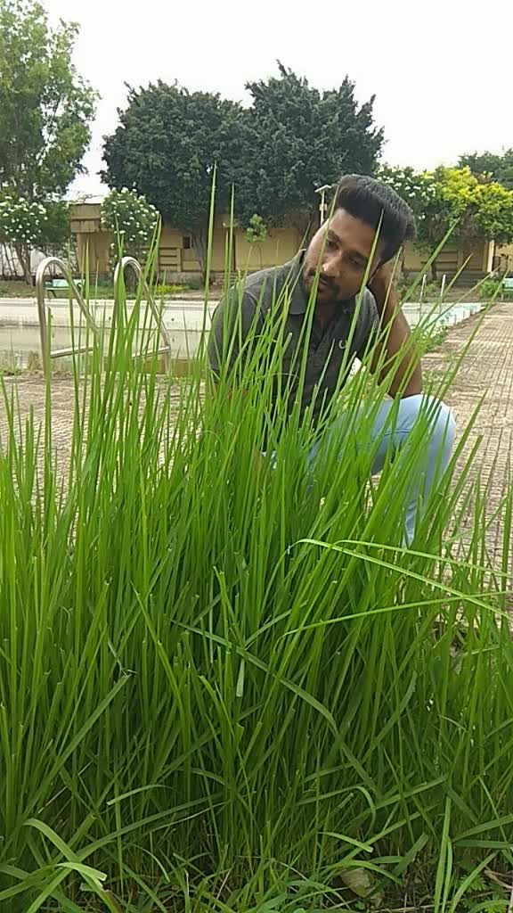 @ಉಮೇಶ್ ಗೌಡ ಹಾಸನ
