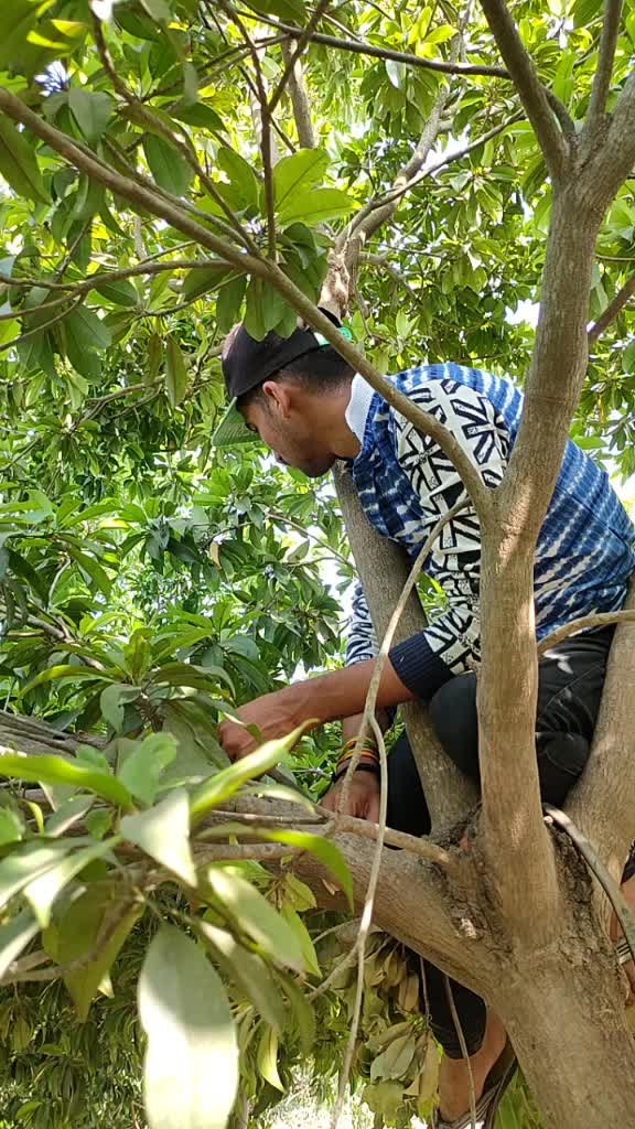 @Gatu Pansuriya