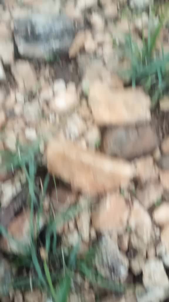 @Saniha Suresh Kumar