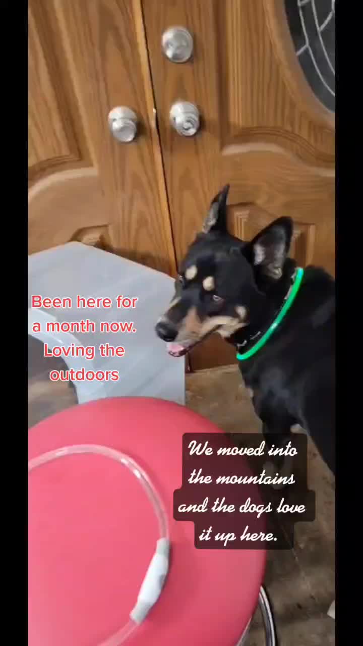 @ElizabethSalvador4