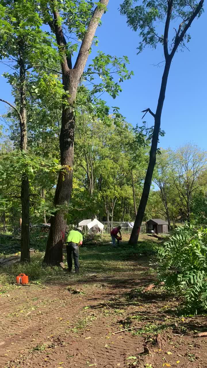 @jctlogging