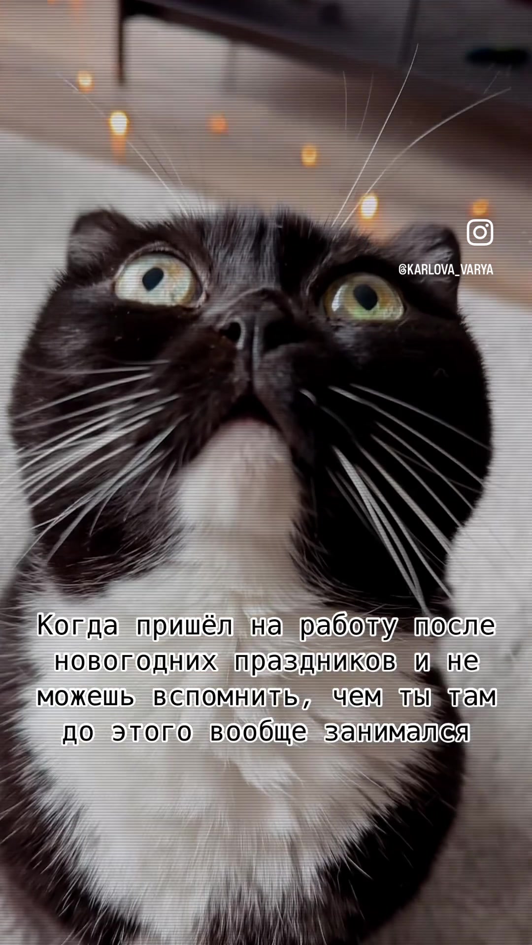 @Лю