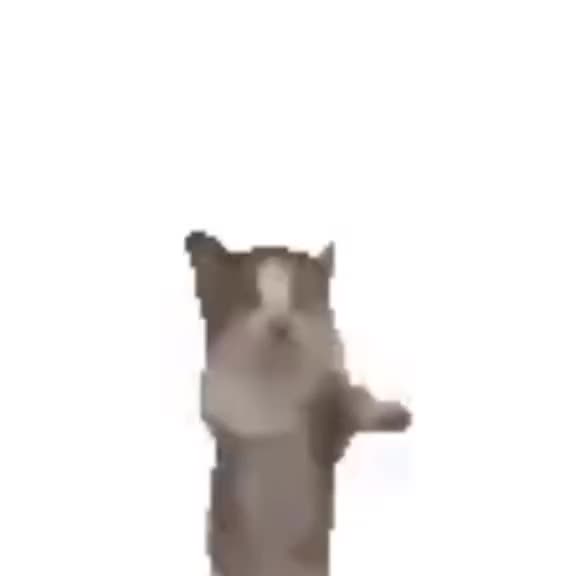 @nag