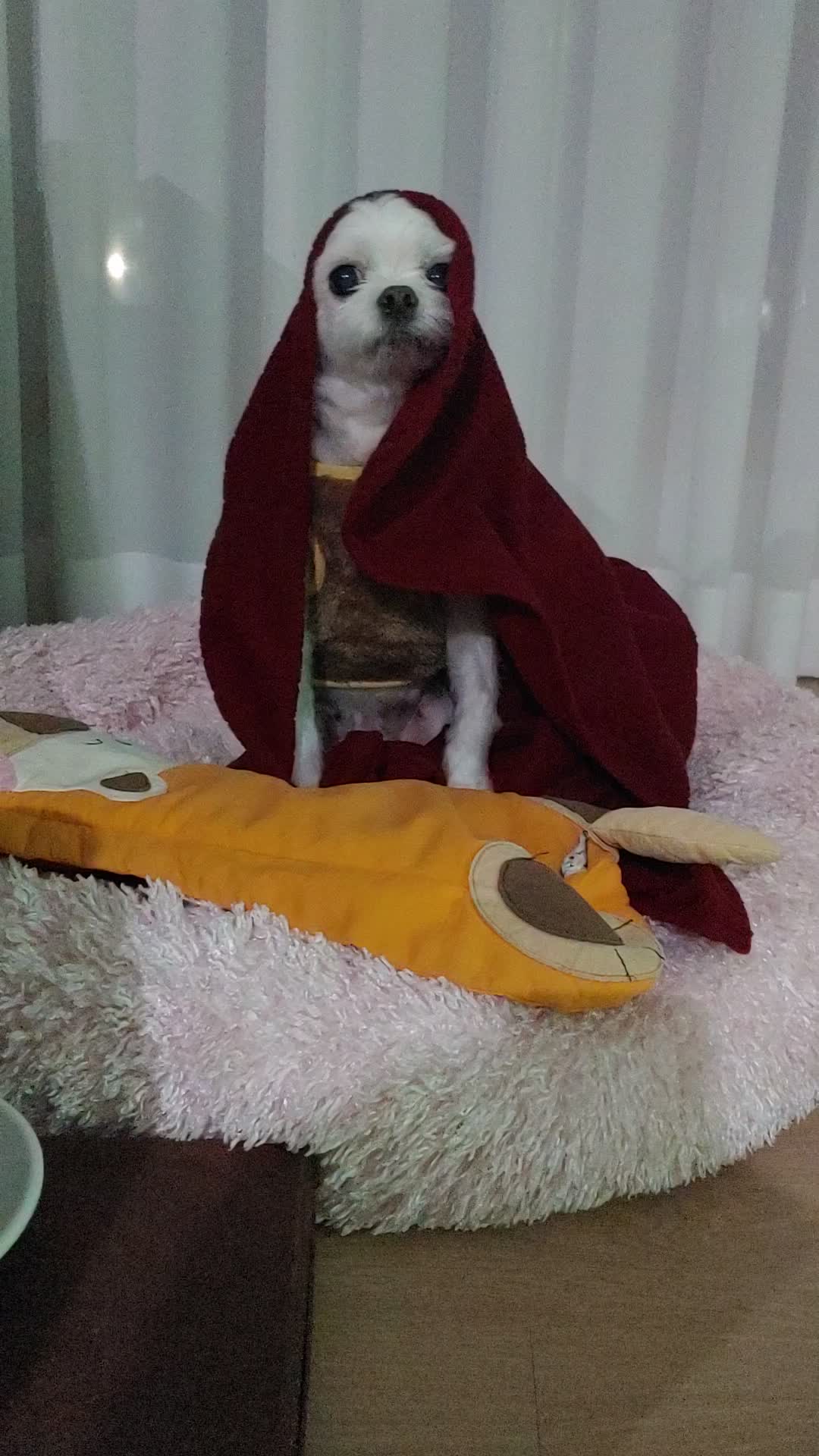 @경이씨