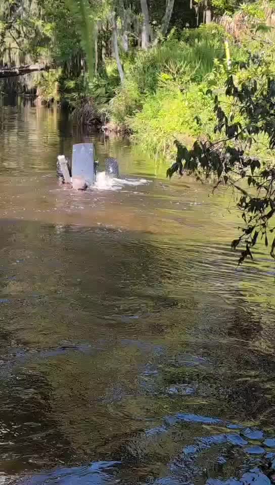 @🦆Jayce the great🦆