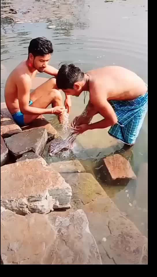@Kâmľëšh. Šãhü