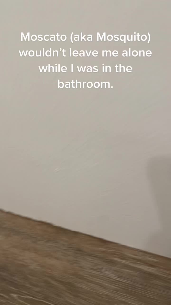 @CharredFlapjack