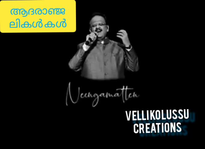 @😎 mr. പ വ നാ യി  🤓