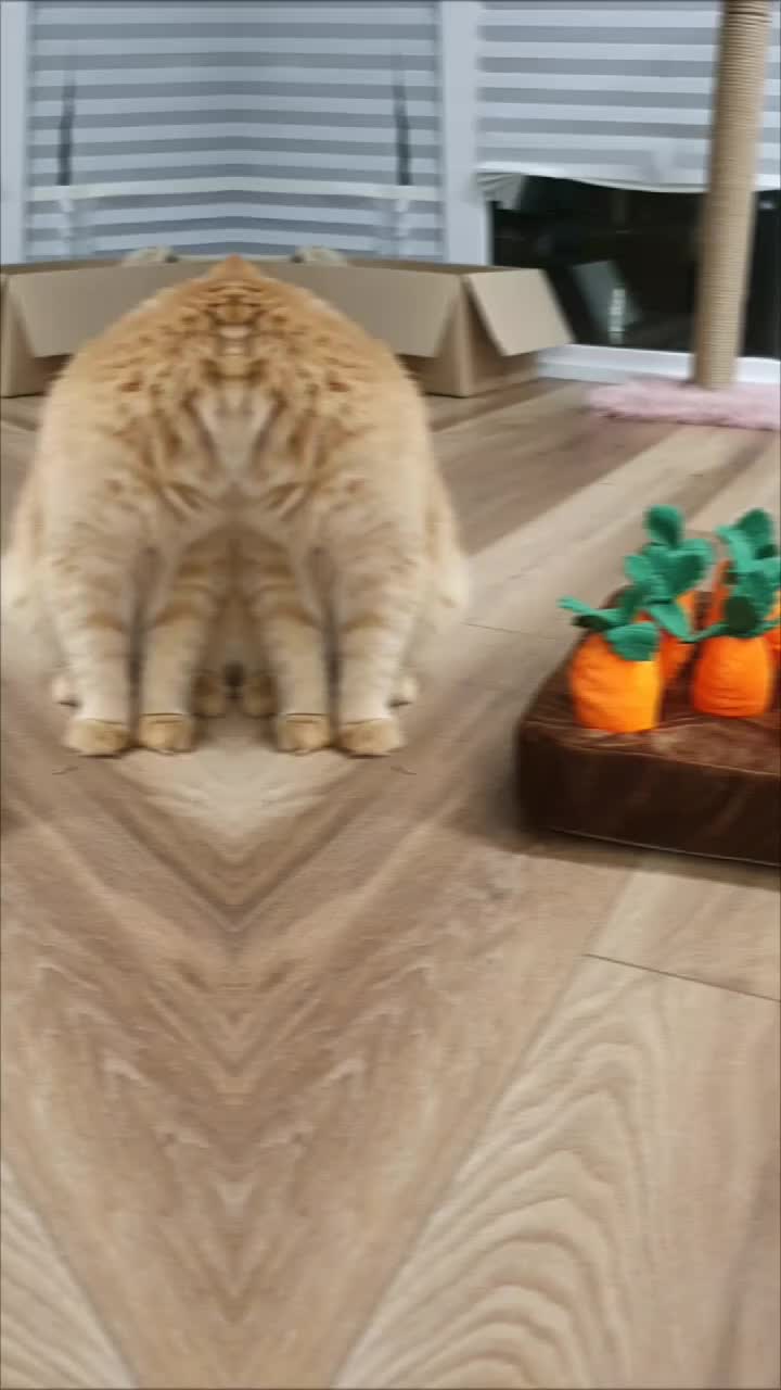 @PawzPot_com