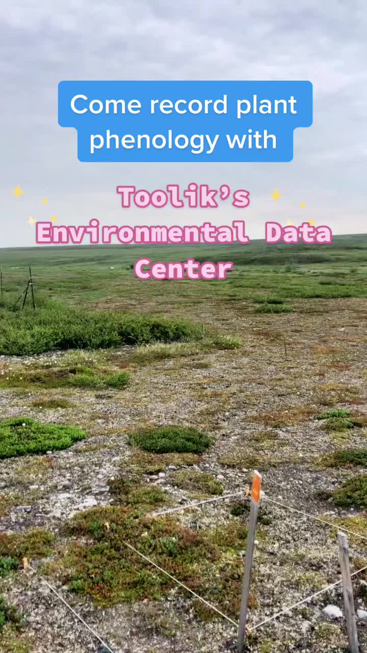 @Toolik Field Station