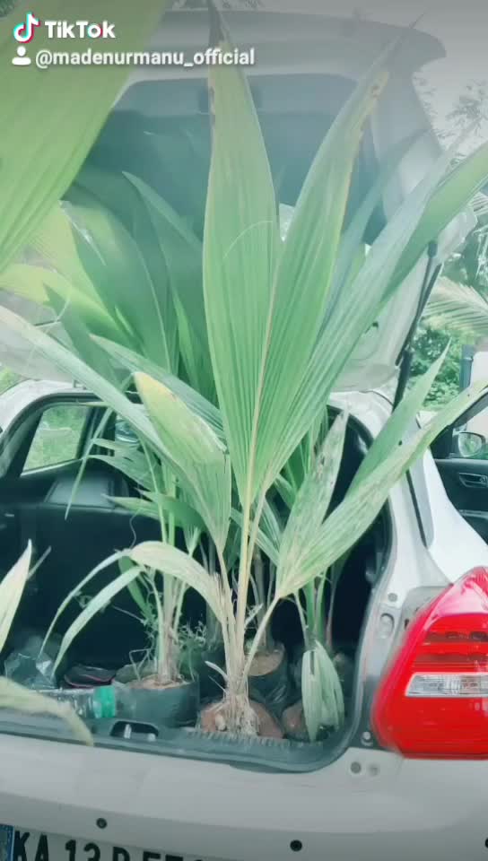 @ಮಡೇನೂರು ಮನು