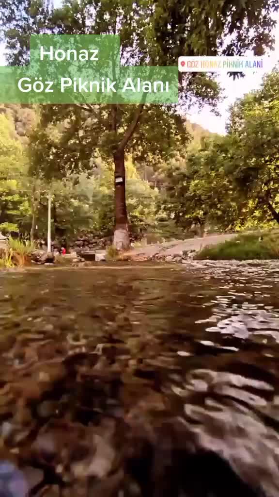 @Reşat Fatoş Bilgi