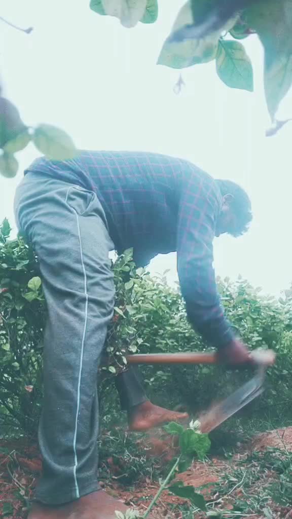 @Senivasan Seni